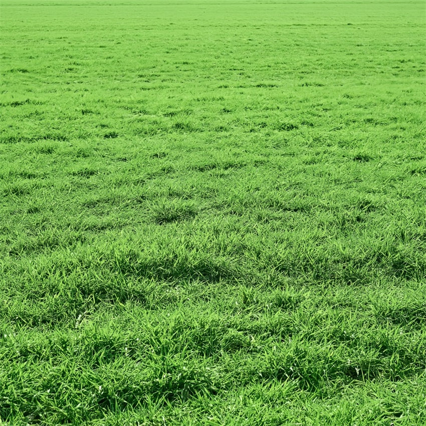 Floor Backdrop Photography Vibrant Lush Meadow Floor Backdrop BRP1-524