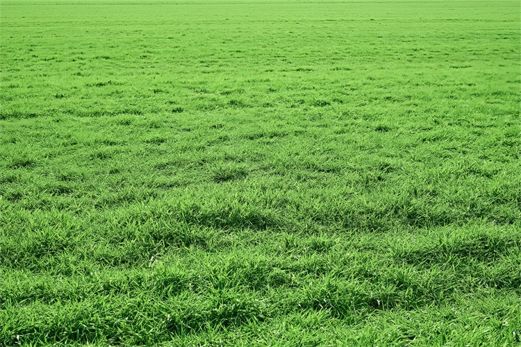 Floor Backdrop Photography Vibrant Lush Meadow Floor Backdrop BRP1-524