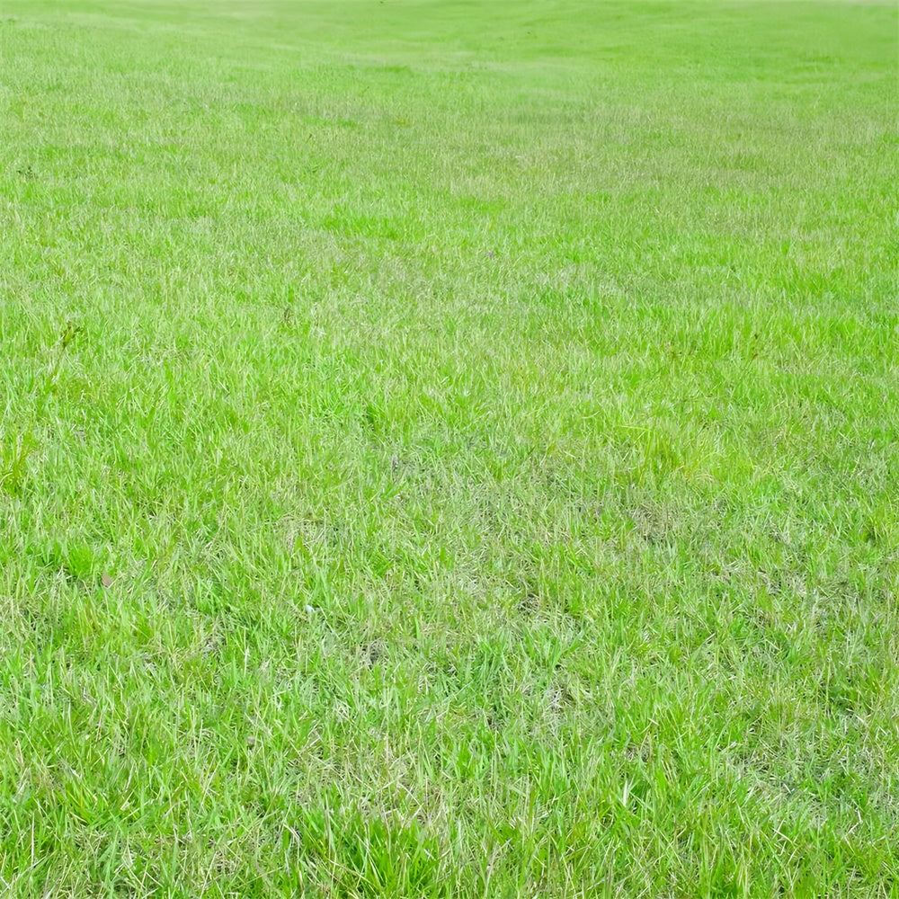 Photo Backdrop Floor Lively Green Grass Field Floor Backdrop BRP1-527