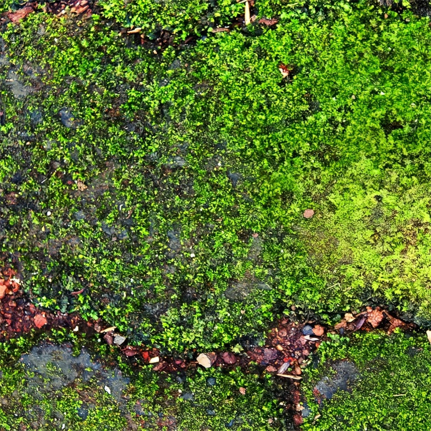 Floor Backdrops Rustic Green Moss Pathway Floor Backdrop BRP1-529
