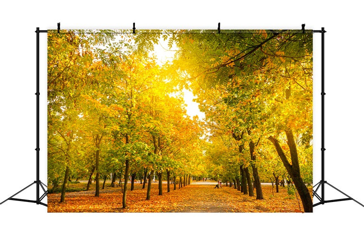 Fall Leaves Background Autumn Trees Golden Backdrop BRP10-234