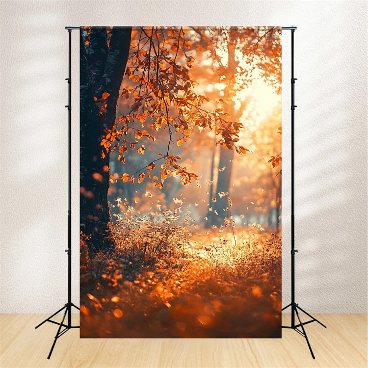Fall Season Backdrop Sunbeam Trees Photo Backdrop BRP10-265