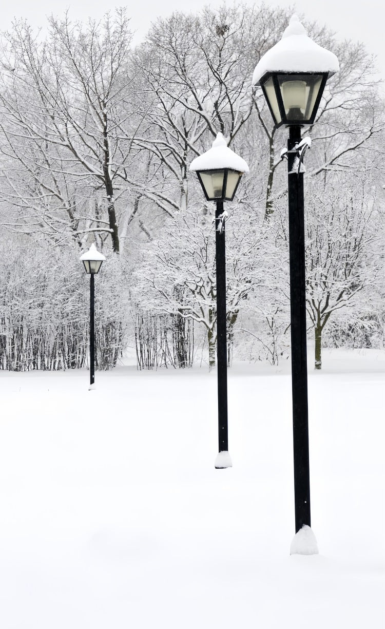 Winter Snowy Sweep Street Lamp Scene Backdrop BRP10-519