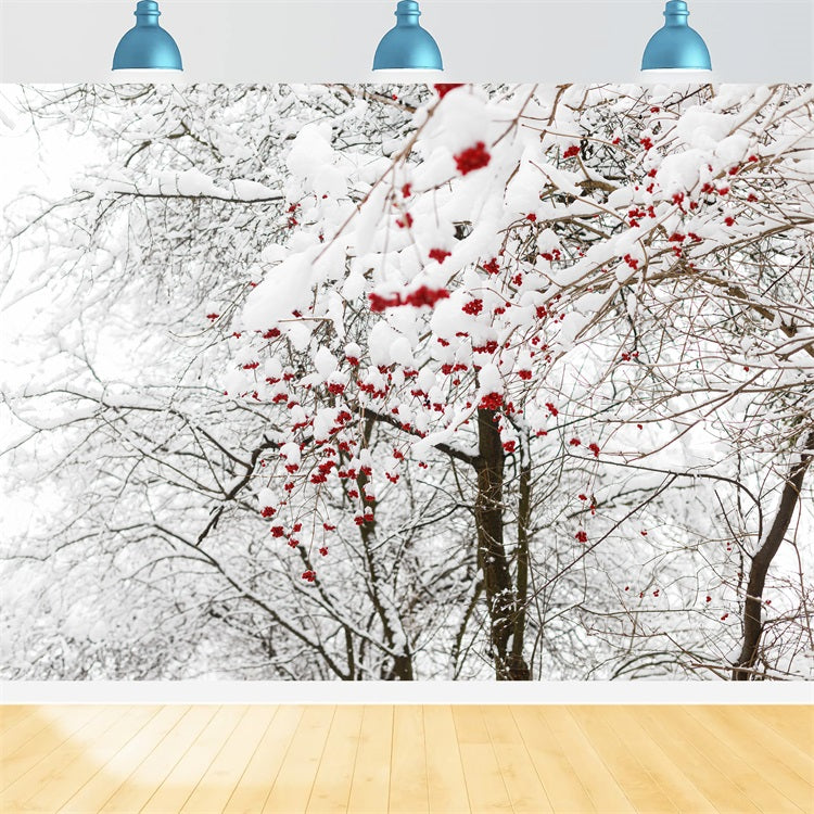 Winter Backdrops Photos Vibrant Red Berries Snow Backdrop BRP11-20
