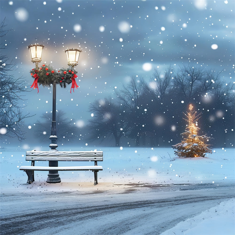 Winter Backdrop Photography Cozy Holiday Park Scene Backdrop BRP11-24