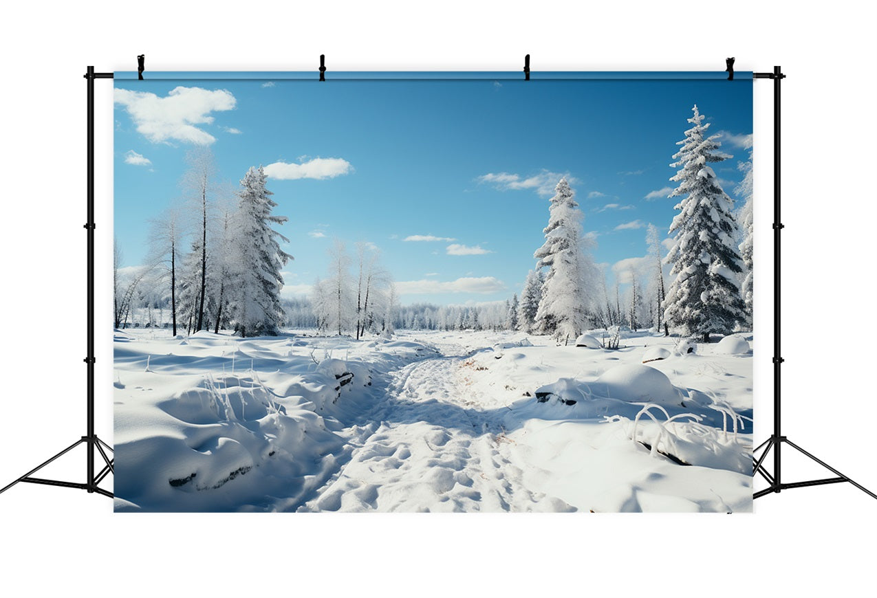 Winter Woods Backdrop Frosted Trees Blue Sky Backdrop BRP11-266