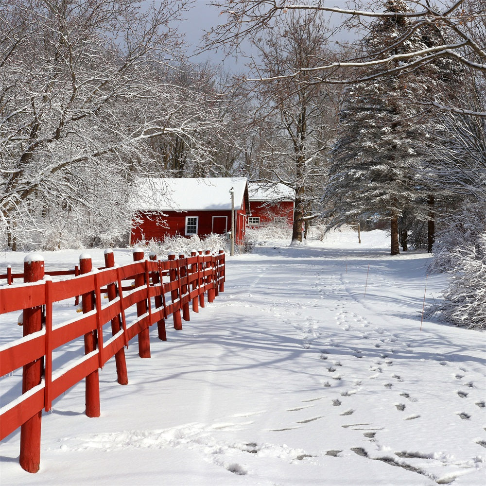 Winter Backdrops Rustic Red Barn Wonderland Backdrop BRP11-29