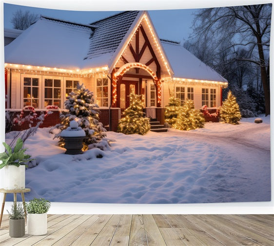 Winter Snow Backdrop Cottage Twinkling Lights Backdrop BRP11-43