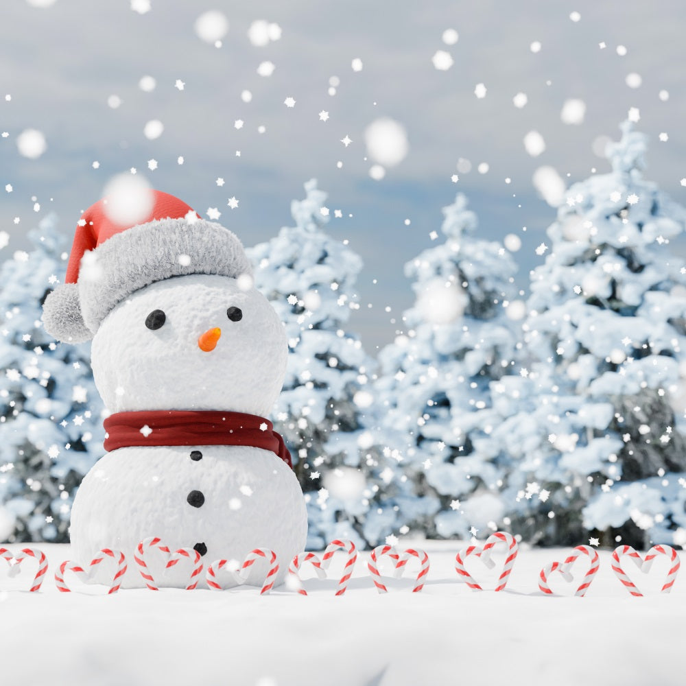 Winter Wonderland Backdrop Snowman Candy Canes Backdrop BRP11-44