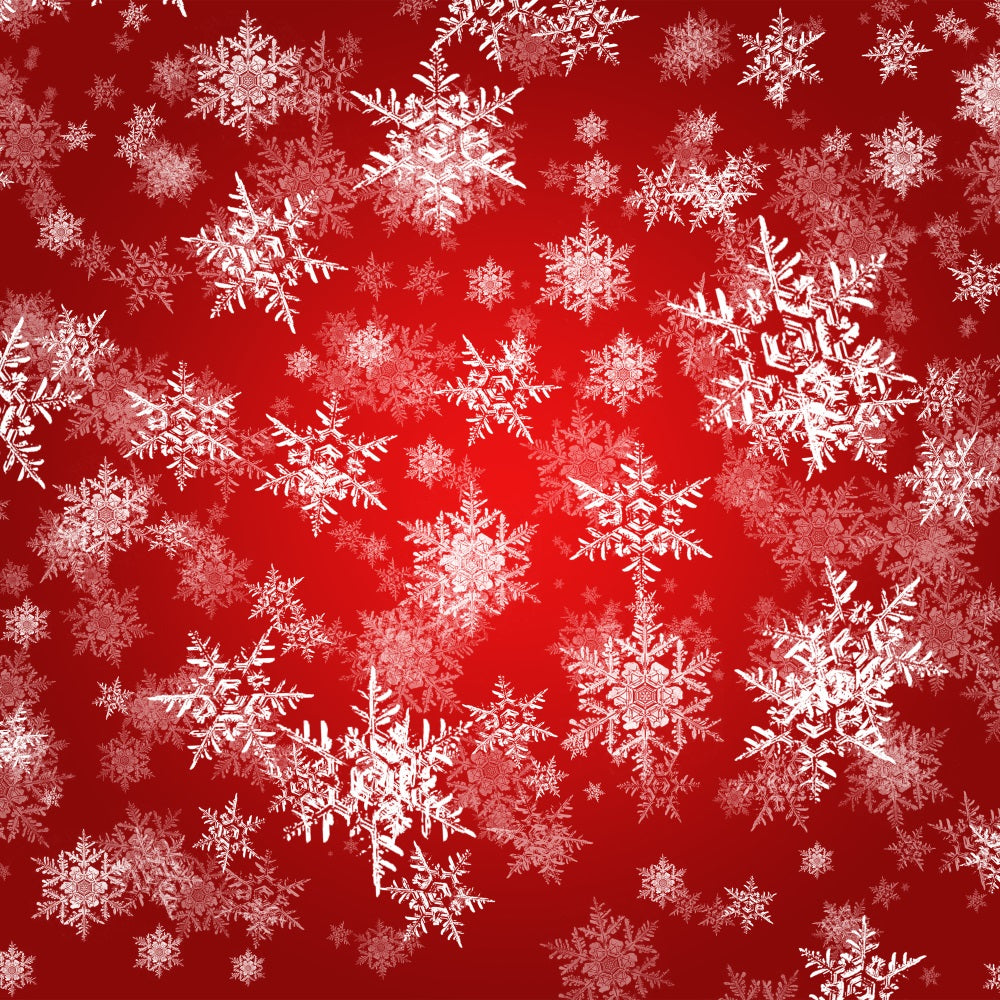 Winter Backdrop Ideas Snowflakes Red Magic Photography Backdrop BRP11-457