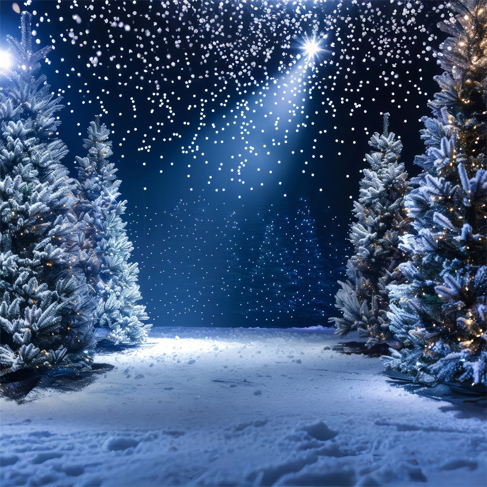 Backdrop Winter Wonderland Snowy Night Photography Backdrop BRP11-491