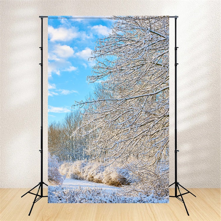 Winter Backdrop Frosty Branches Bright Sky Backdrop BRP11-68