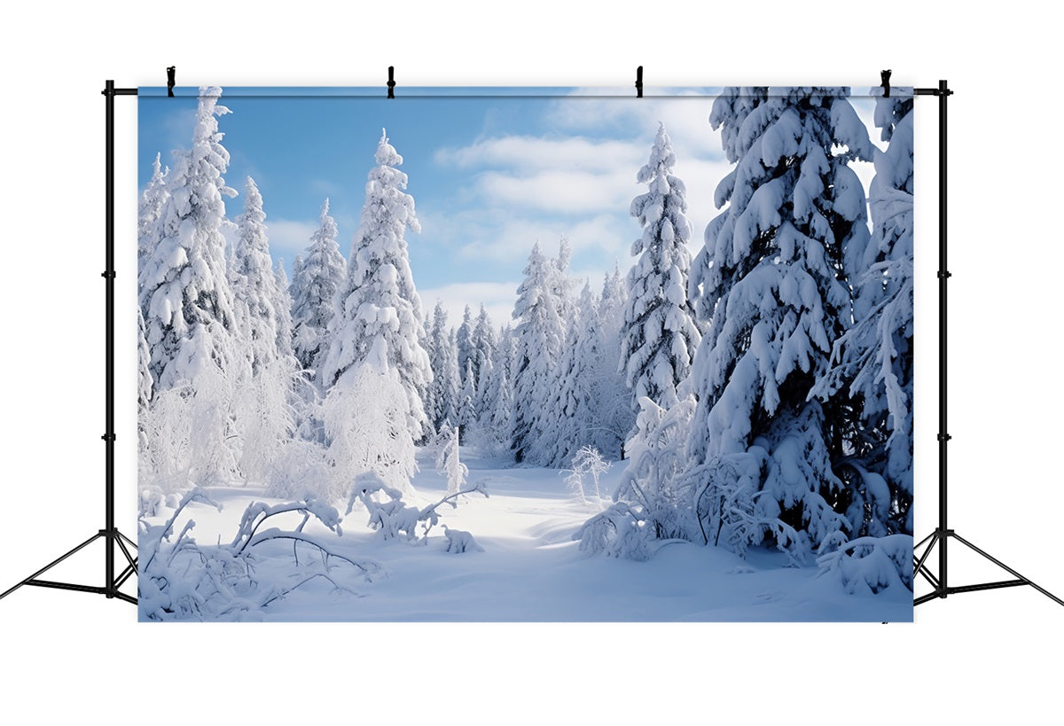 Winter Scene Backdrop Frosted Pines Blue Sky Backdrop BRP11-7