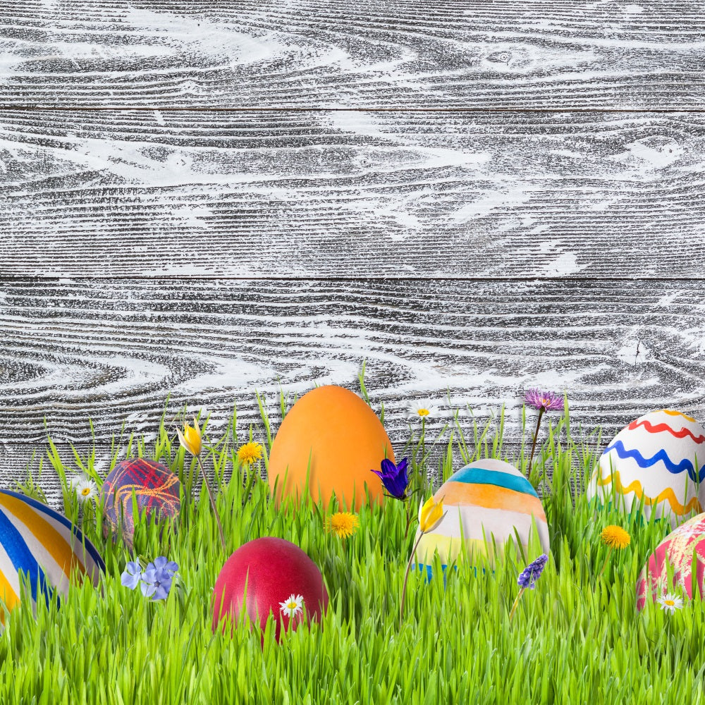 Easter Photo Backdrop Ideas Meadow Colorful Eggs Backdrop BRP12-424