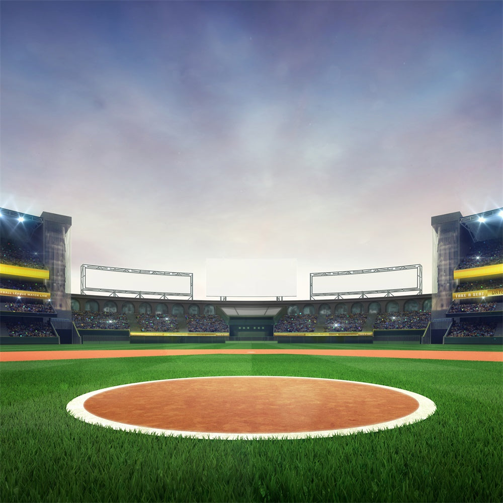 Sports Party Backdrop Baseball Stadium Celebration Scene Backdrop BRP12-594