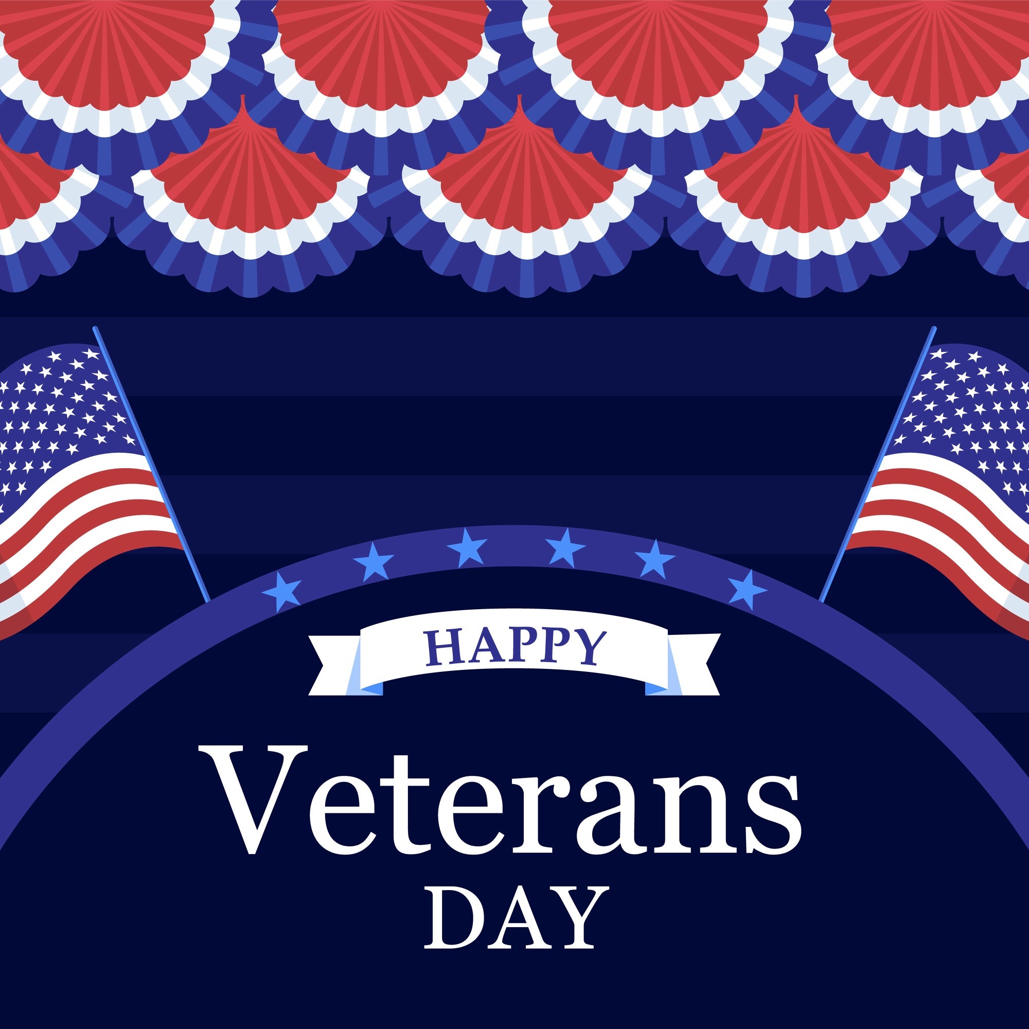 American Flag Backdrop Veterans Day Celebration Backdrop BRP12-679