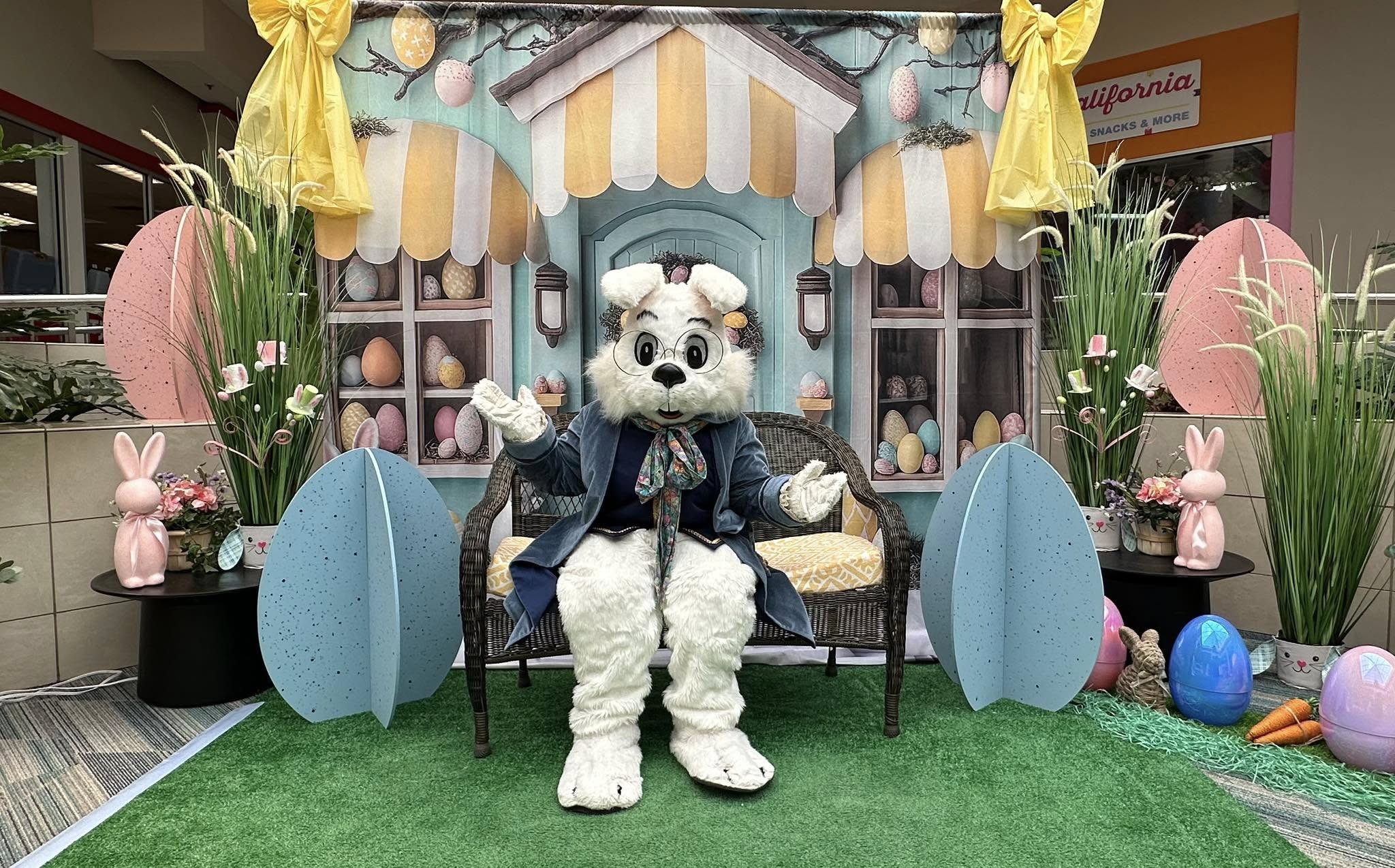 Easter Backdrops Photography Whimsical Bunny Store Scene Backdrop BRP12-734