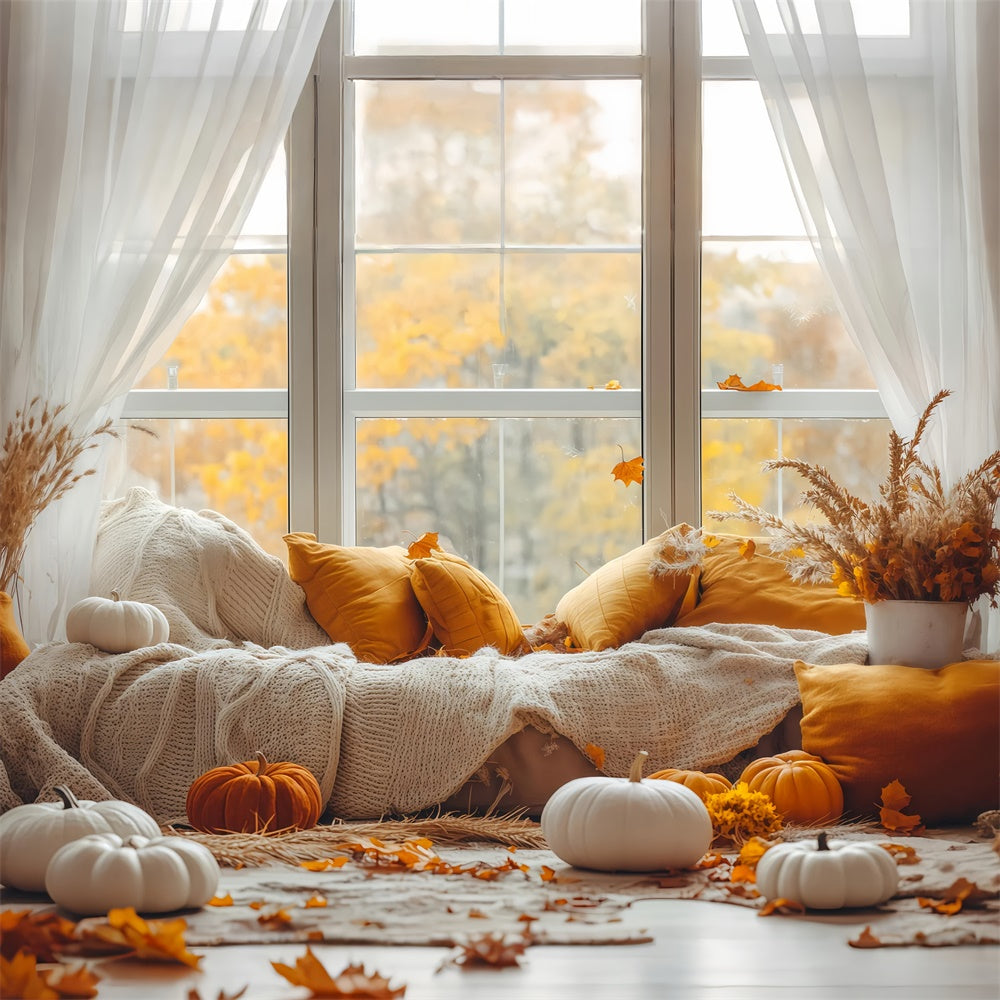Fall Photography Backdrops Warm Pillow Window Backdrop BRP57-199