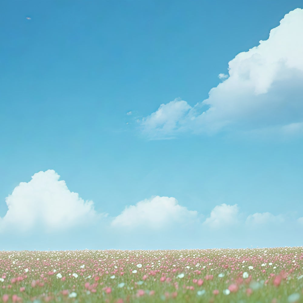 Blue Sky Backdrop Sunshine Wild Bloom Backdrop BRP57-225