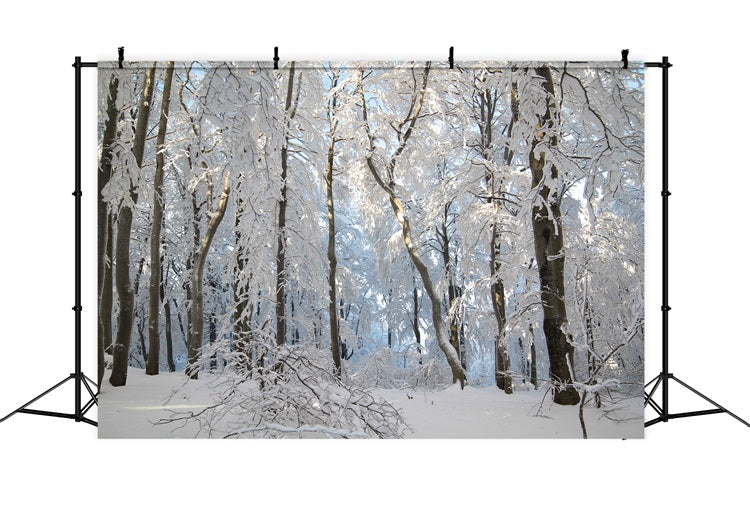 Winter Snowy Forest Wonderland Photography Backdrop BRP9-220