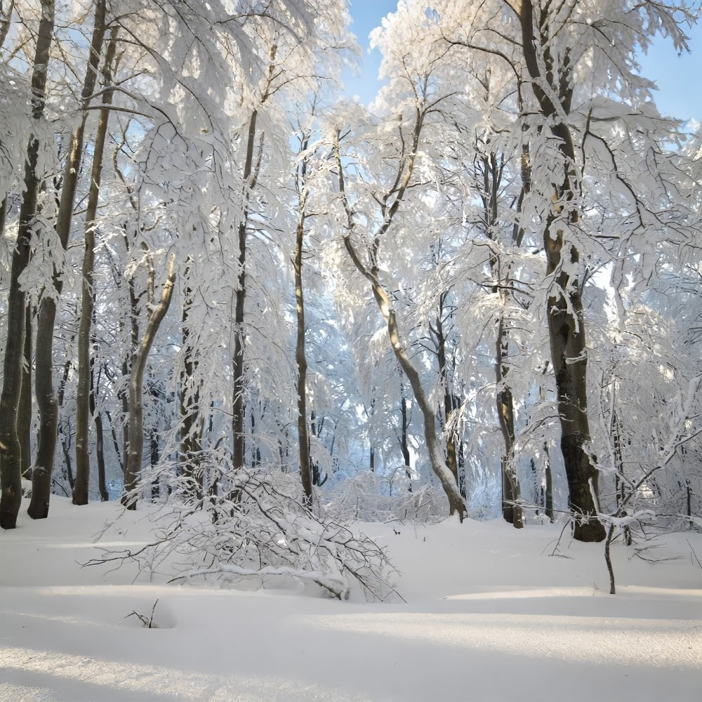 Winter Snowy Forest Wonderland Photography Backdrop BRP9-220