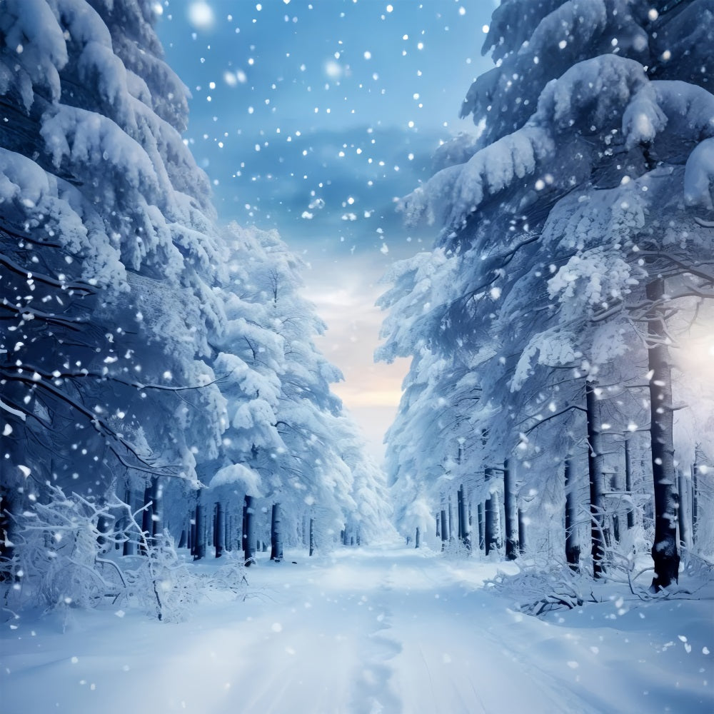 Winter Walk Through Snowy Forest Path Backdrop BRP9-221