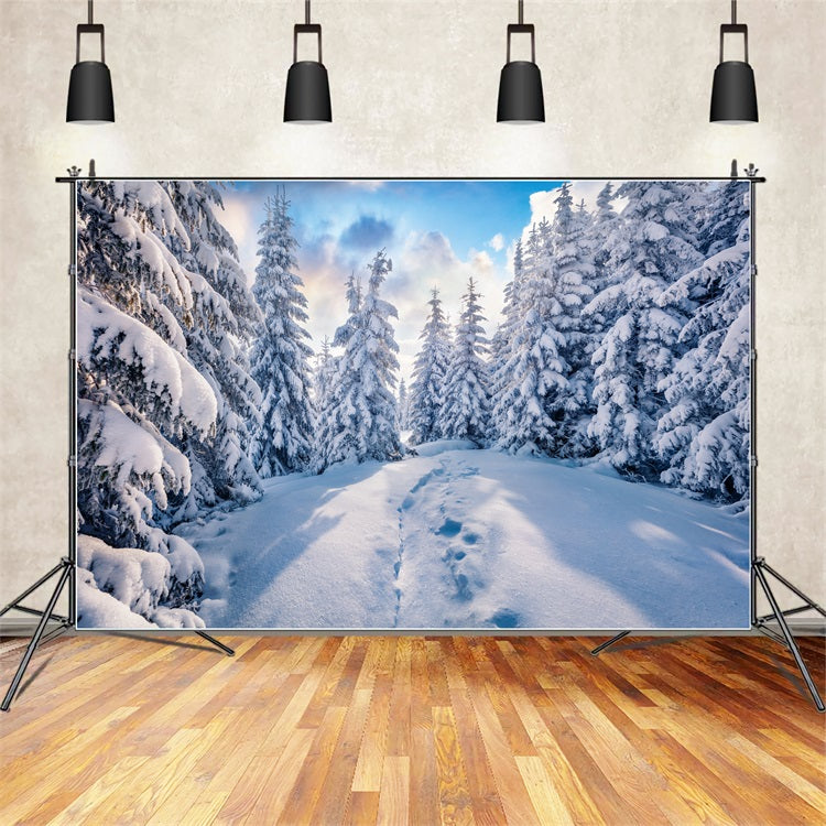 Winter Forest Clear Blue Sky Photography Backdrop BRP9-228
