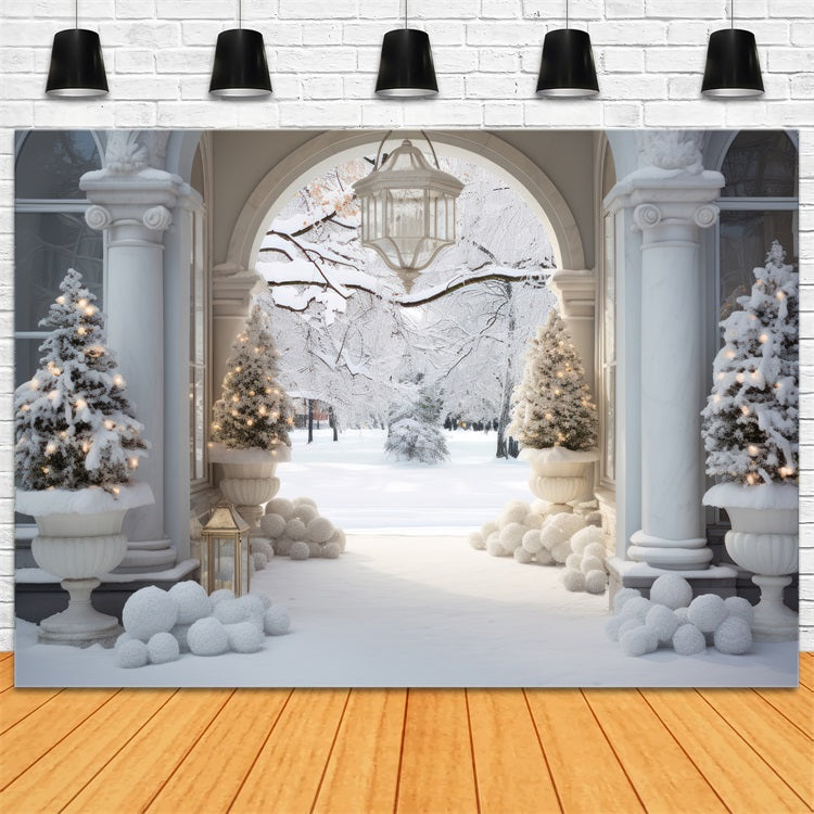 Winter Wonderland Courtyard Marble Arch Backdrop BRP9-235