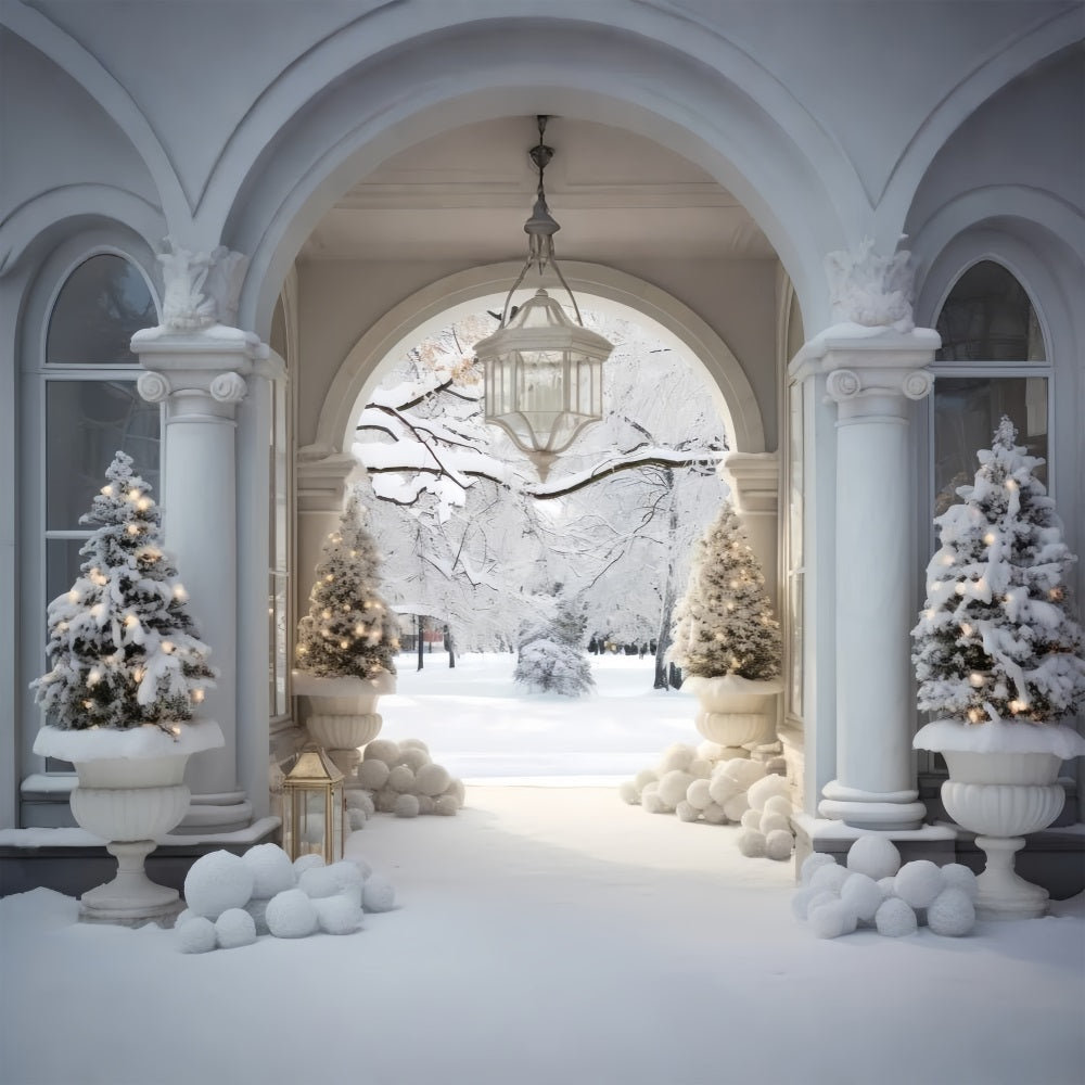 Winter Wonderland Courtyard Marble Arch Backdrop BRP9-235