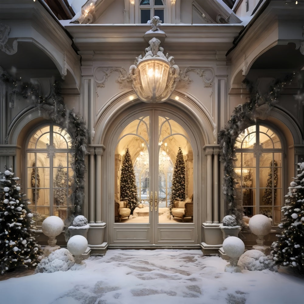 Luxurious Christmas Winter Snowy Entrance Backdrop BRP9-237
