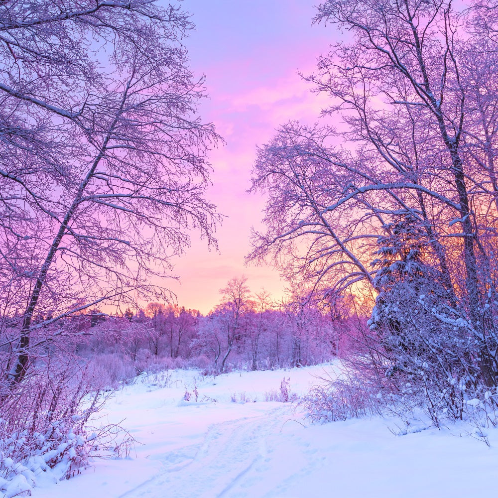 Pastel Winter Sunrise Snowy Forest Scene Backdrop BRP9-283