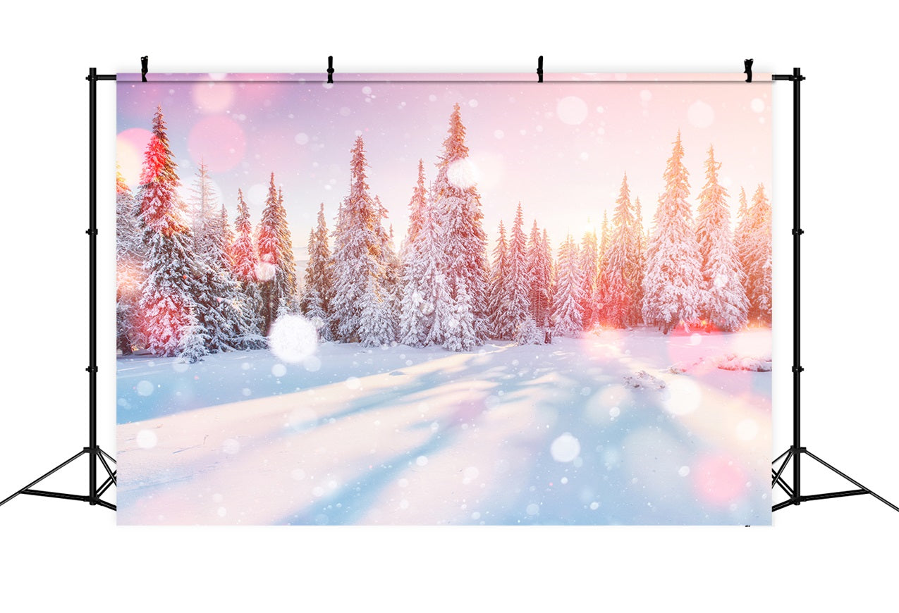 Morning Light Winter Snowy Pine Forest Backdrop BRP9-299
