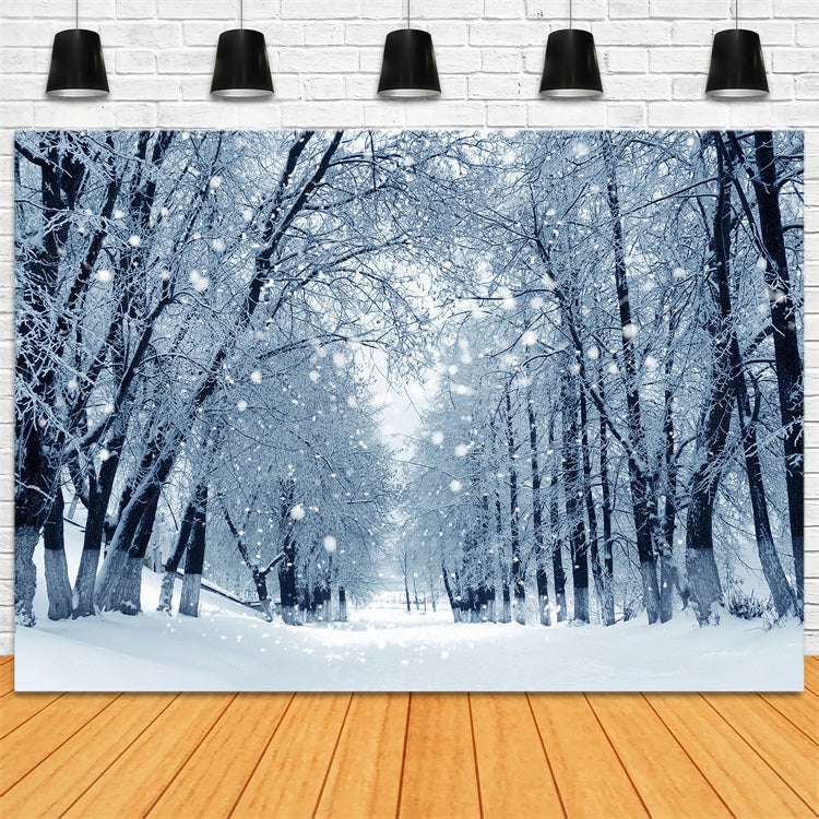 Snowy Path Enchanted Winter Forest Backdrop BRP9-324