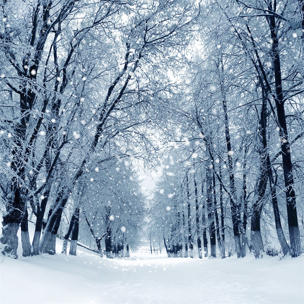 Snowy Path Enchanted Winter Forest Backdrop BRP9-324