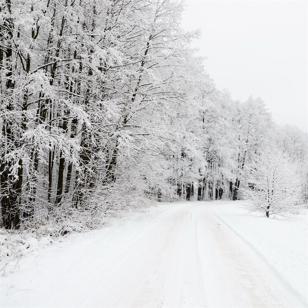Snow Covered Forest Road Winter Wonderland Backdrop BRP9-325