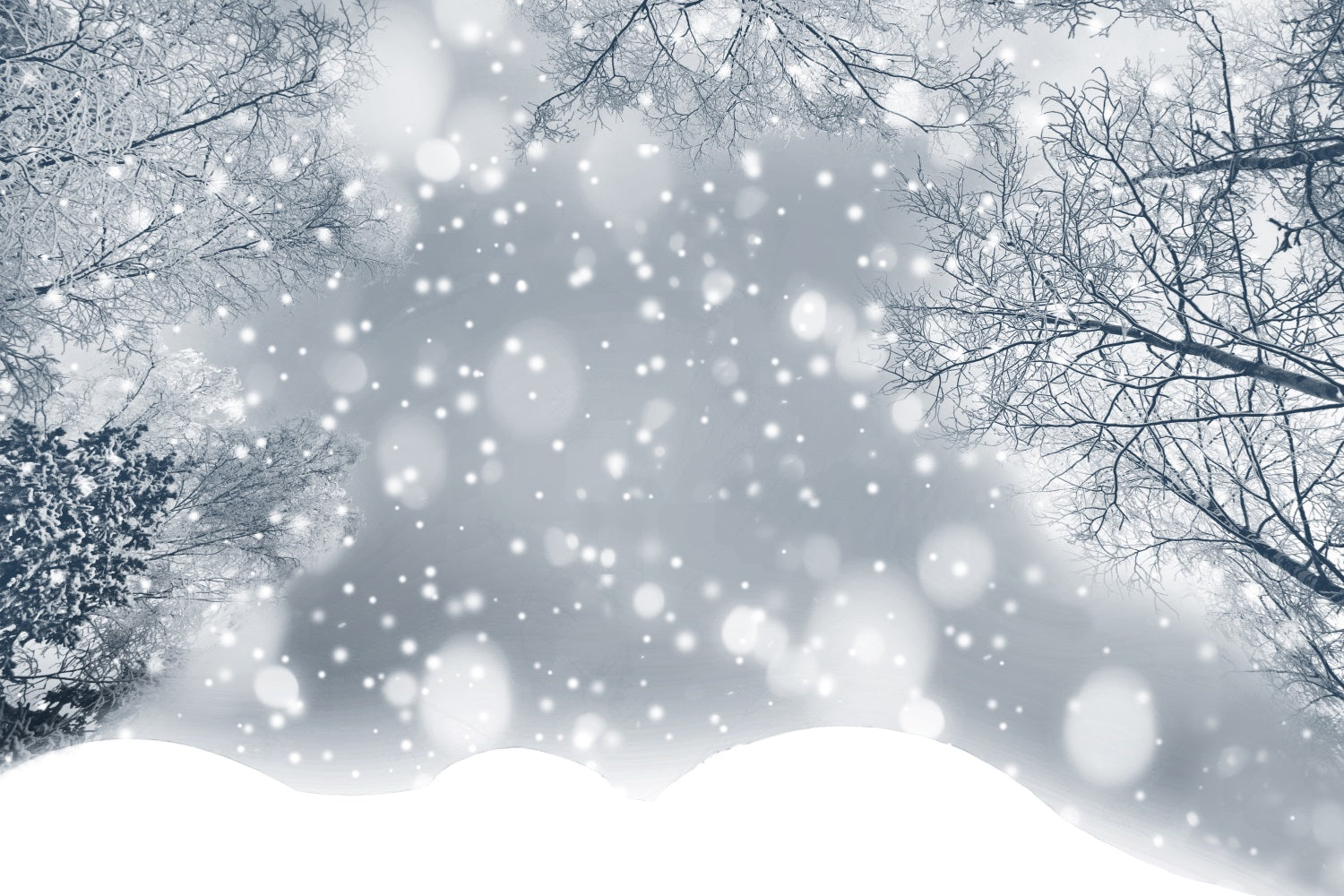 Sparkling Winter Frosted Snowflakes Forest Backdrop BRP9-344