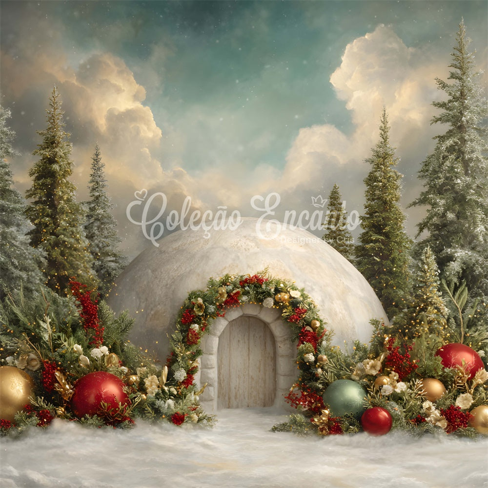 Christmas Photo Backdrops Forest Snow House Floral Backdrop By Magali