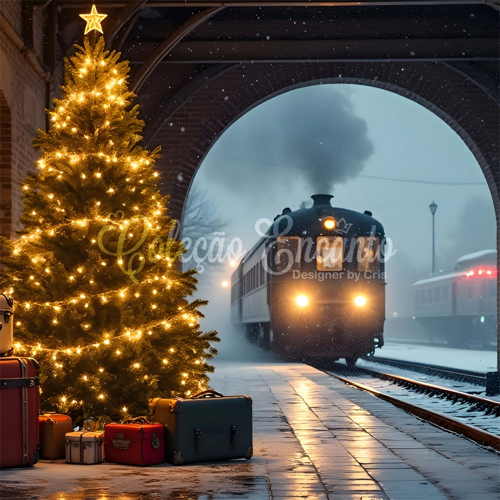Christmas Backdrops Sale Snow Train Ride Backdrop By Magali