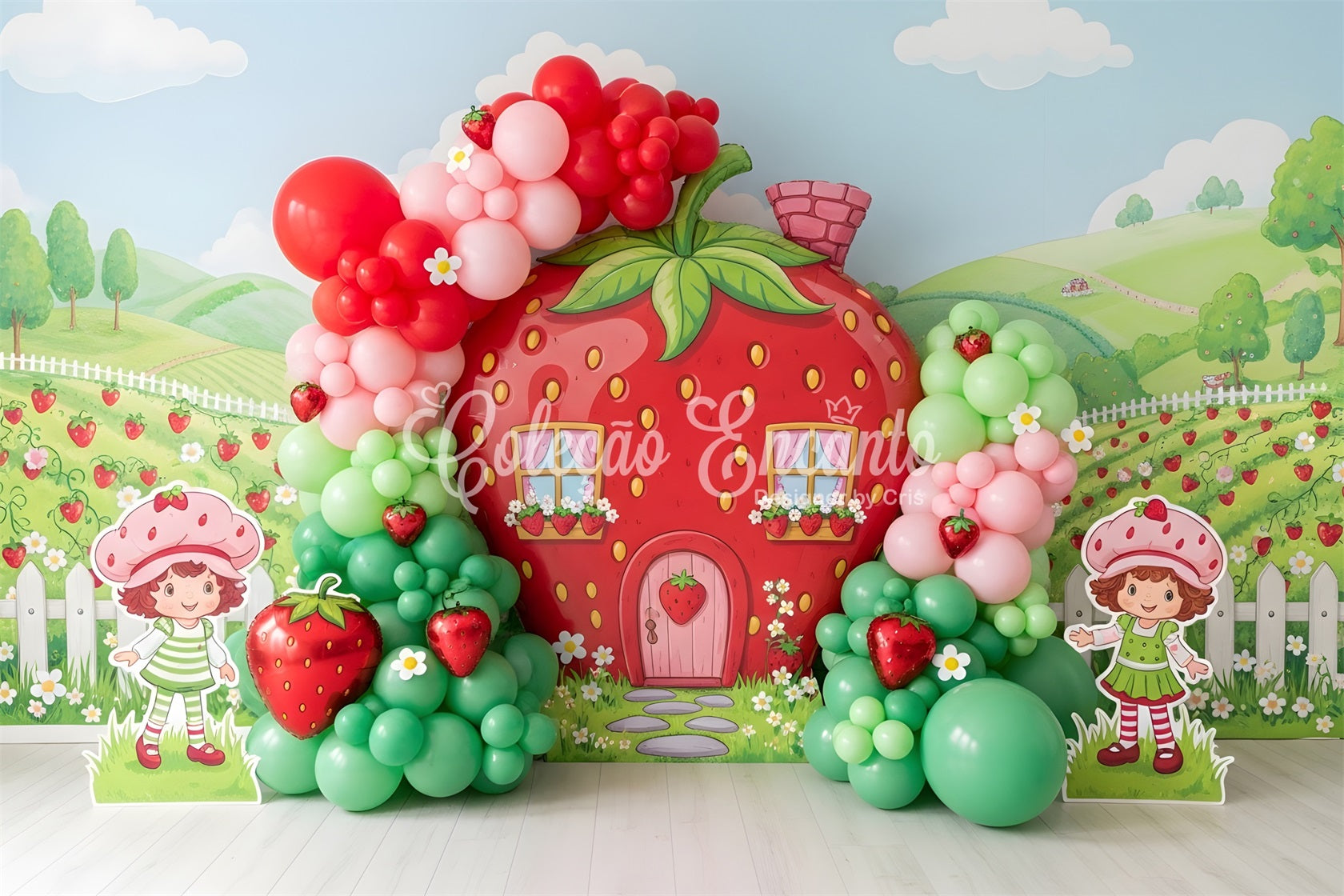 Photography Backdrops for Kids Strawberry Cottage Balloon Garden Newborn Backdrop CEM65-10