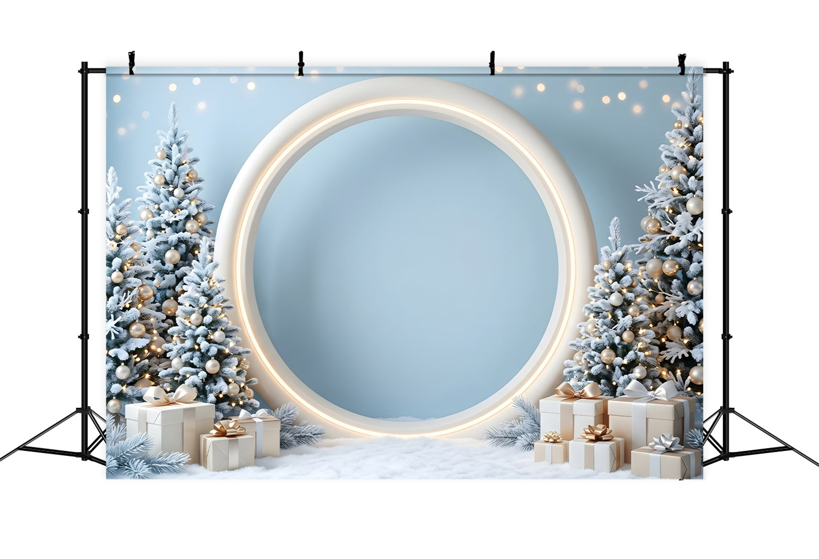 Christmas Holiday Backdrop Frosted Blue Round Arch Gifts Christmas Picture Backdrop CEM65-132