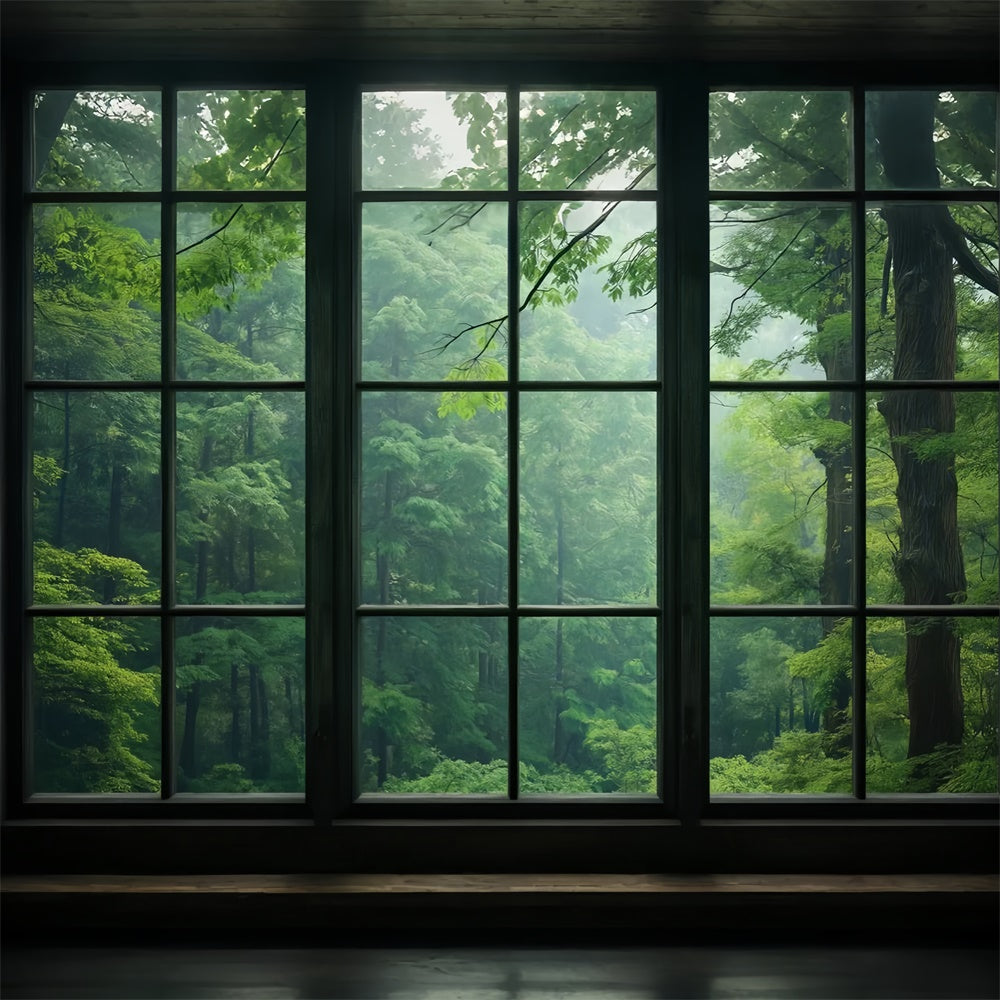 Forest Backdrop Photography Serene Forest View Window Backdrop CJJ2-57