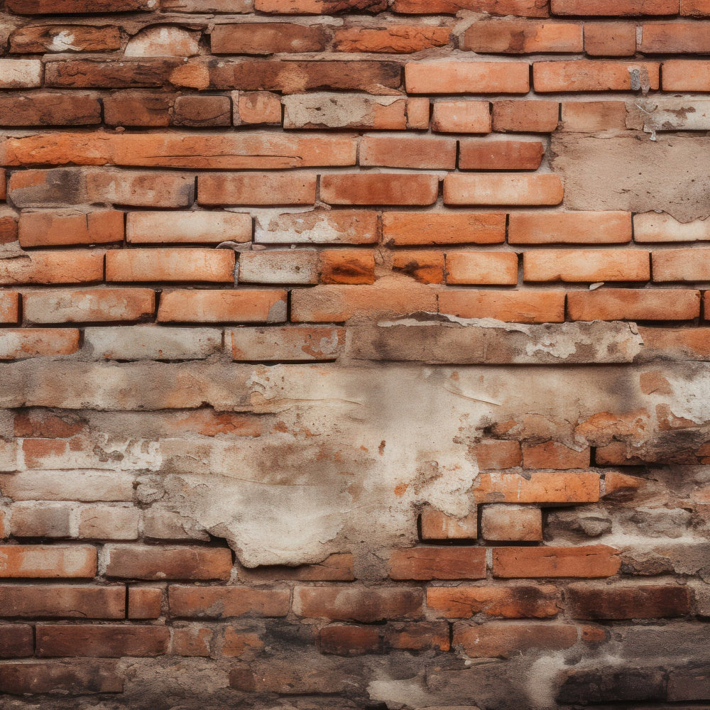 Brick Wall Photography Backdrop Rustic Industrial Brick Backdrop CJJ3-11