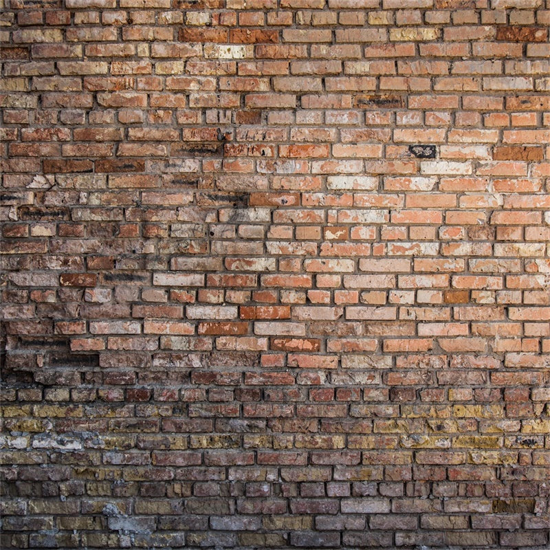 Backdrop Brick Wall Aged Weathered Red Brick Backdrop CJJ3-12