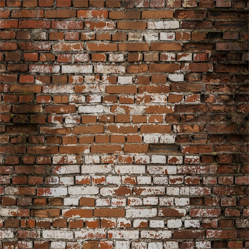 Brick Photo Backdrop Distressed Whitewashed Brick Backdrop CJJ3-15