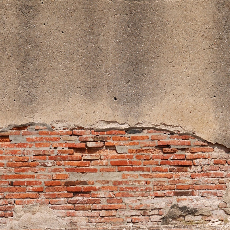 Brick Wall Backdrop Timeworn Brick Peeling Plaster Backdrop CJJ3-17