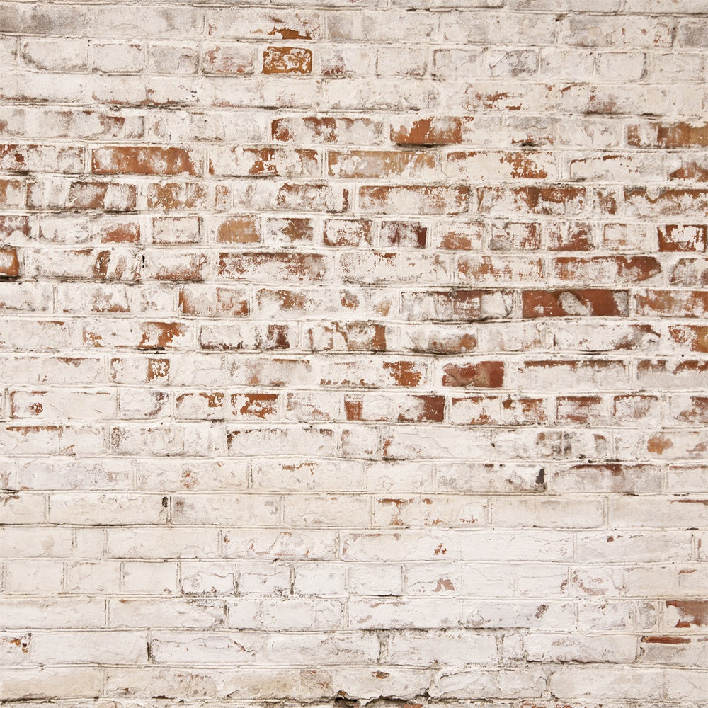 Brick Backdrop Photography Rustic Aged White Brick Backdrop CJJ3-18