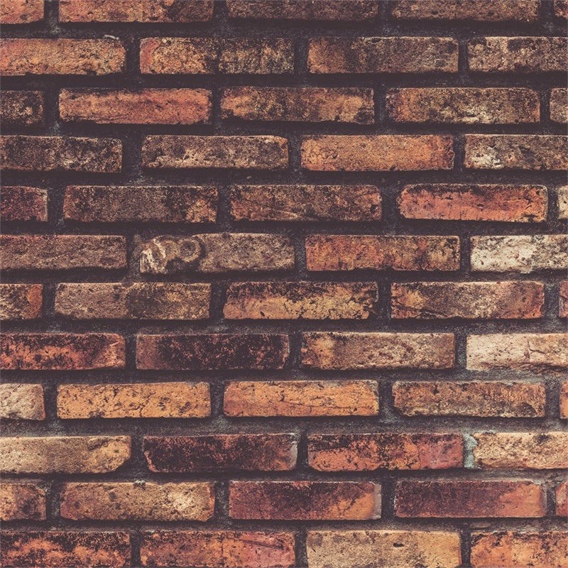 Brick Wall Photography Backdrop Aged Brownish Texture Backdrop CJJ3-2