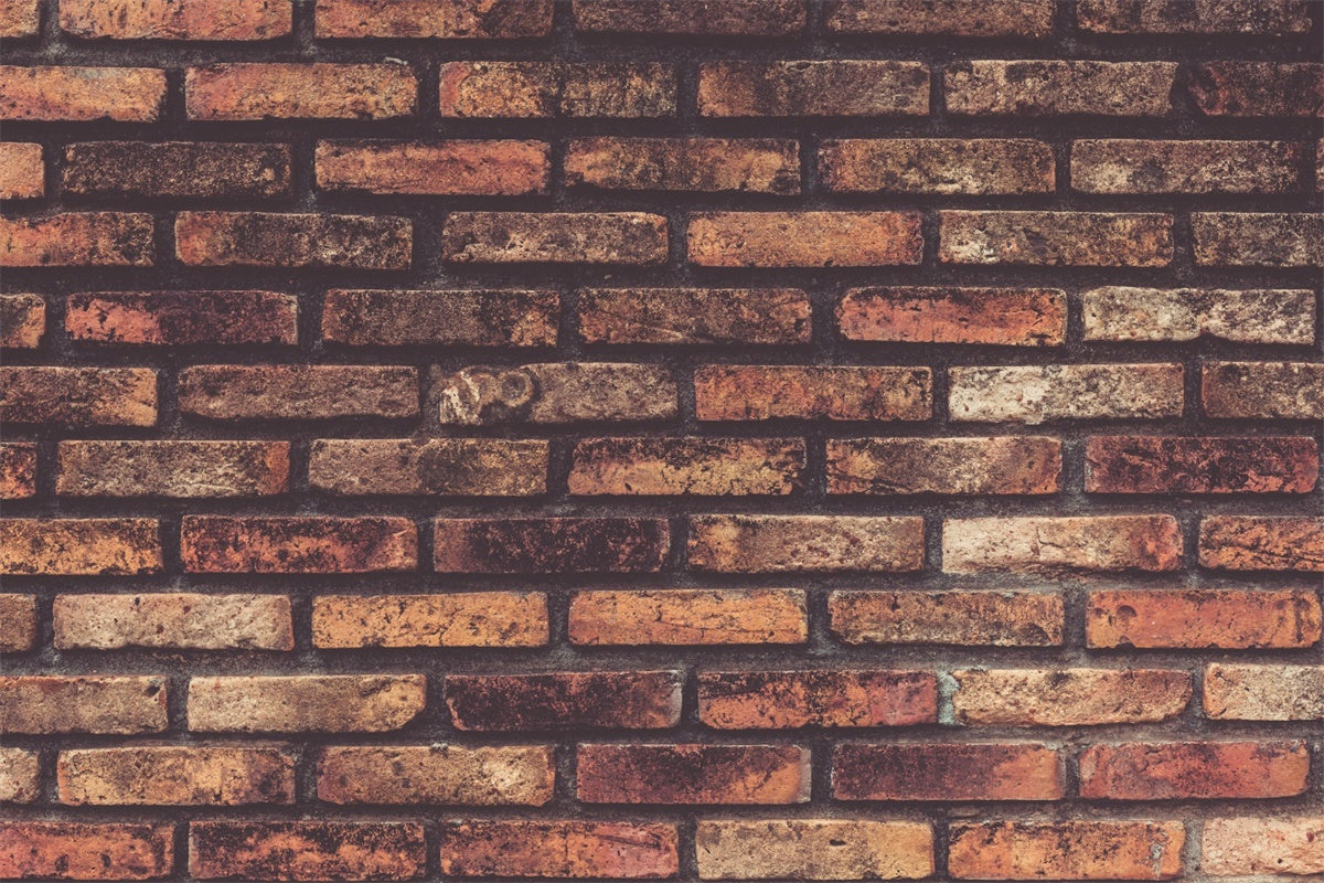 Brick Wall Photography Backdrop Aged Brownish Texture Backdrop CJJ3-2