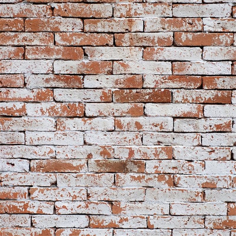 Brick Wall Backdrop Weathered Red Brick Whitewash Backdrop CJJ3-22