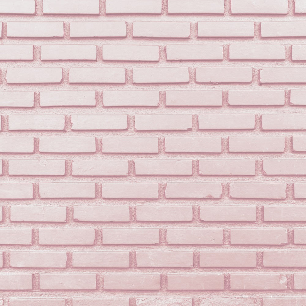 Pink Brick Wall Backdrop Elegant Baby Pink Brick Backdrop CJJ3-24
